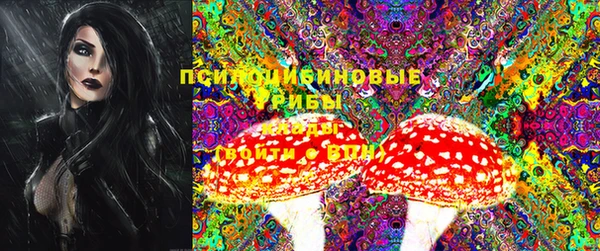 mdpv Бугульма
