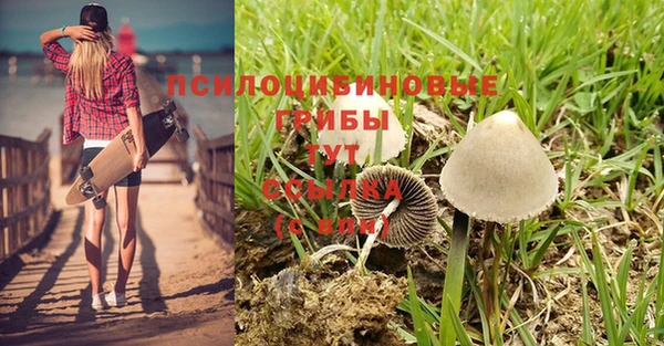 альфа пвп VHQ Бородино