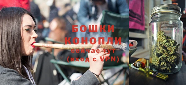 амф Бронницы