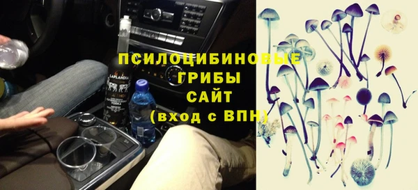 амф Бронницы